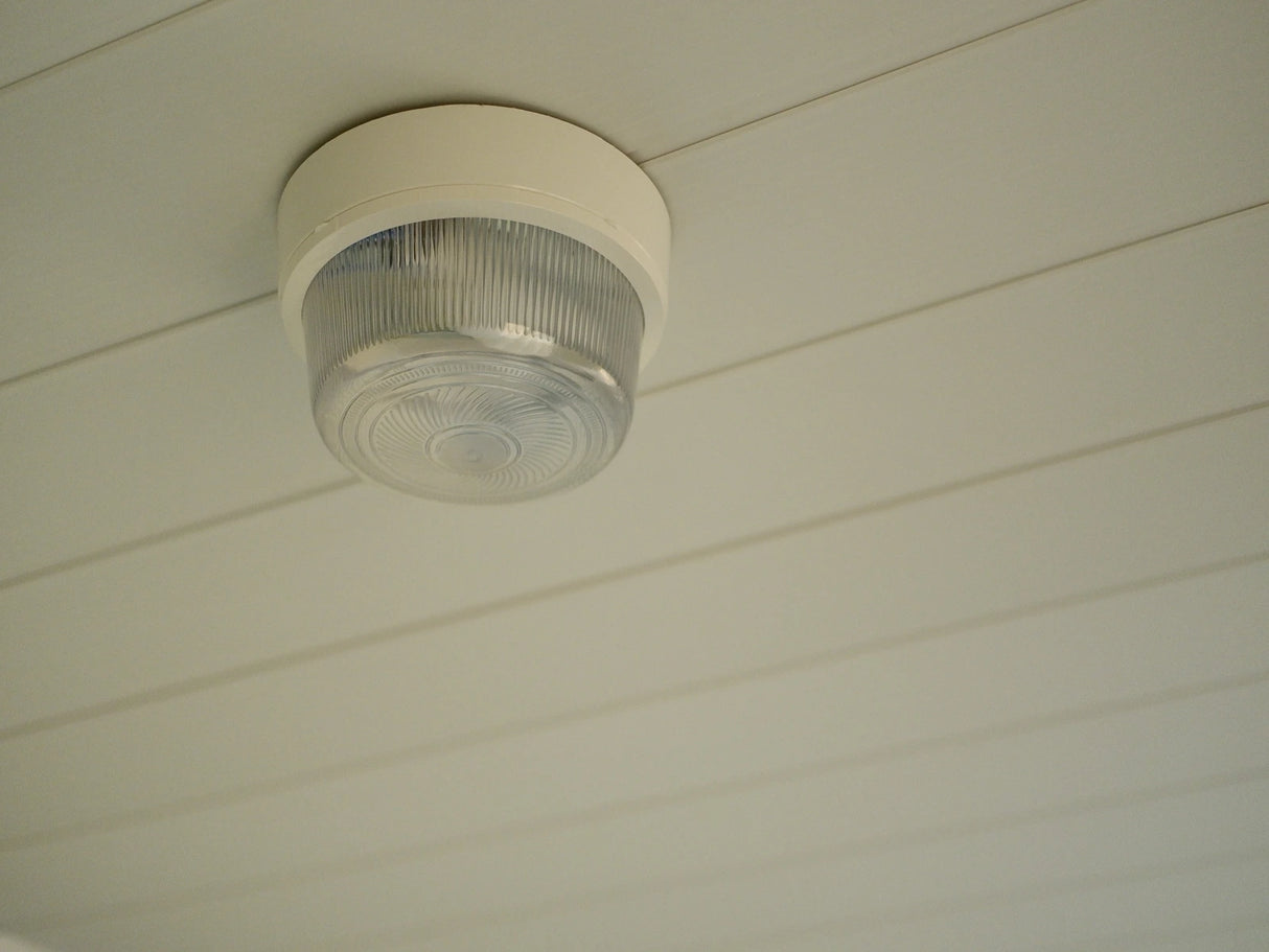 Bürocontainer Basicline Standard 240x600 (CON-11)